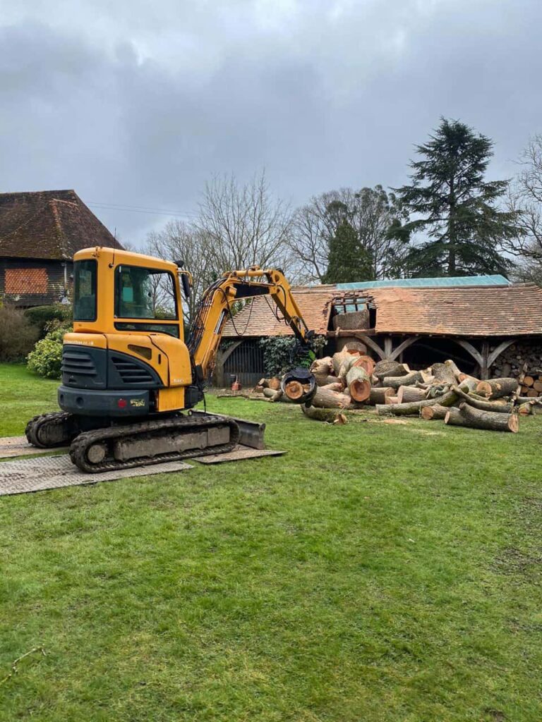 This is a photo of a tree which has grown through the roof of a barn that is being cut down and removed. There is a digger that is removing sections of the tree as well. Daventry Tree Surgeons