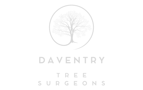 Daventry Tree Surgeons